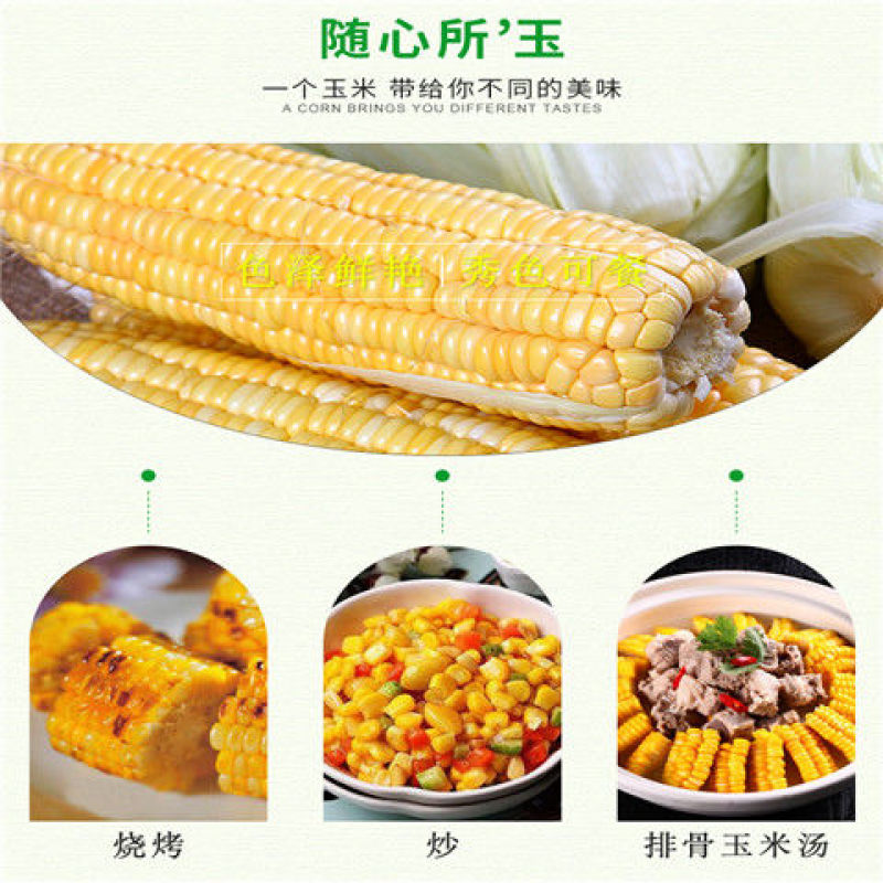 张家界爆甜水果玉米