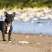 法牛法国斗牛犬支持全国发货疫苗齐全驱虫已做