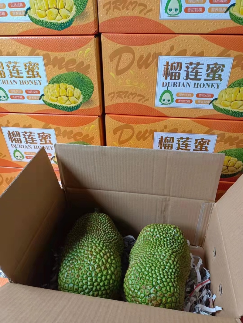 榴莲蜜，海南三亚榴莲蜜，批发零售均可，质优价廉