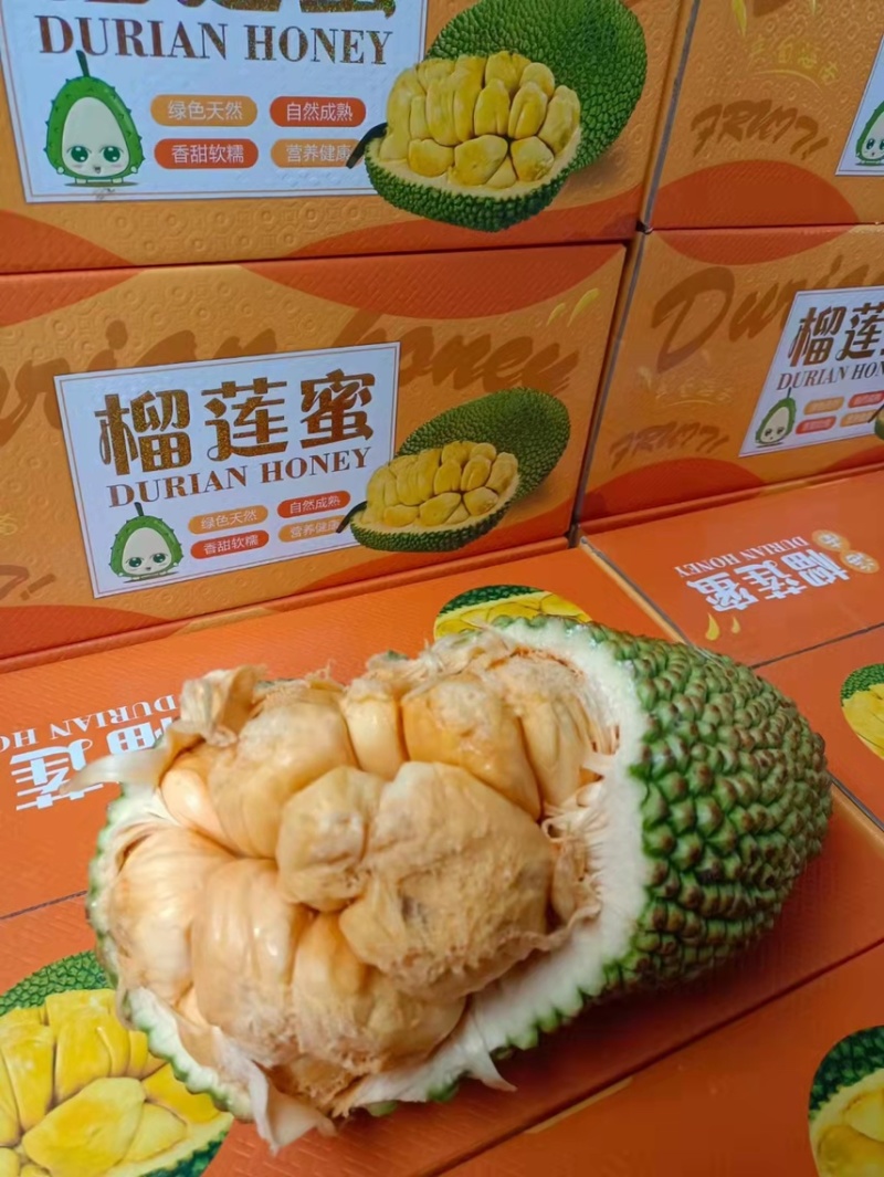 榴莲蜜，海南三亚榴莲蜜，批发零售均可，质优价廉