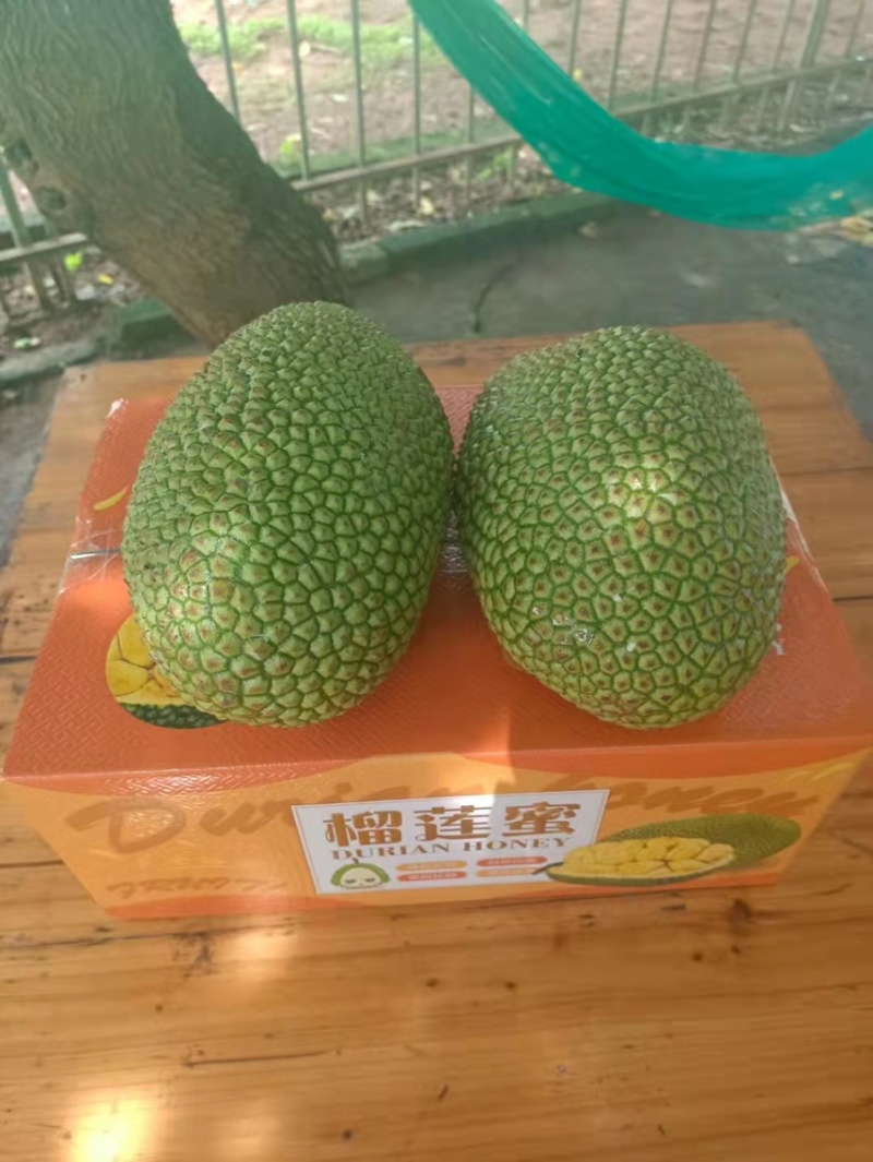 榴莲蜜，海南三亚榴莲蜜，批发零售均可，质优价廉