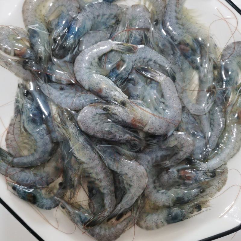 小海虾，毛重250克，库存3.4吨左右