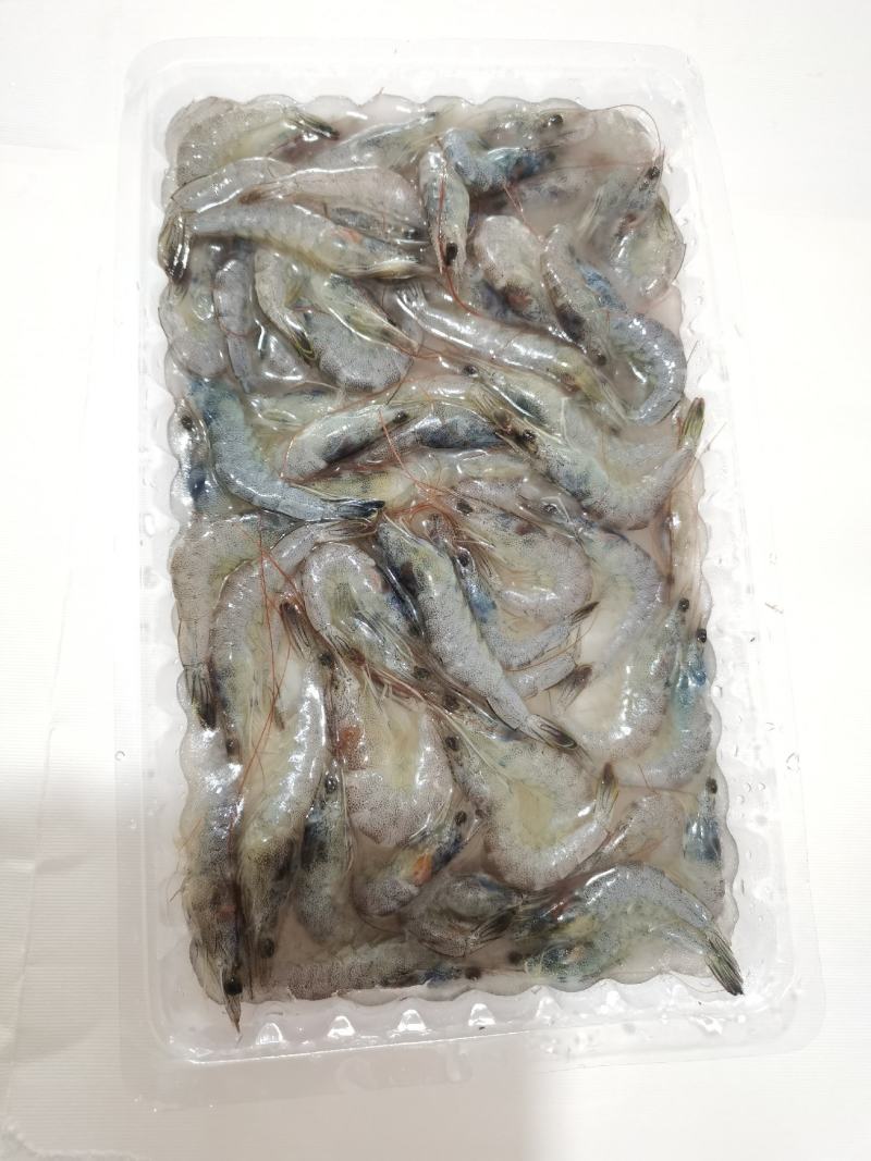 小海虾，毛重250克，库存3.4吨左右