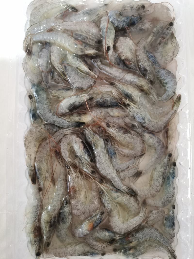 小海虾，毛重250克，库存3.4吨左右