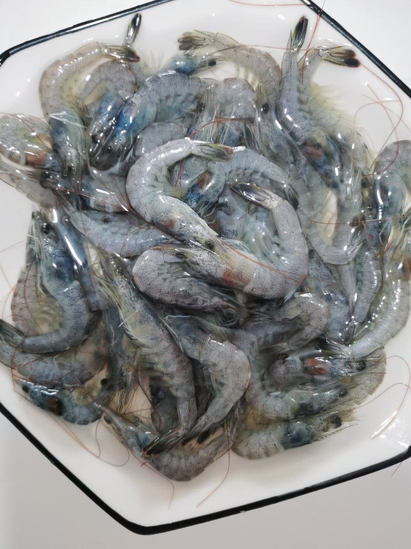 小海虾，毛重250克，库存3.4吨左右
