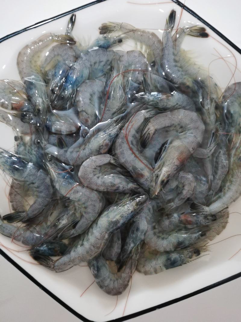小海虾，毛重250克，库存3.4吨左右