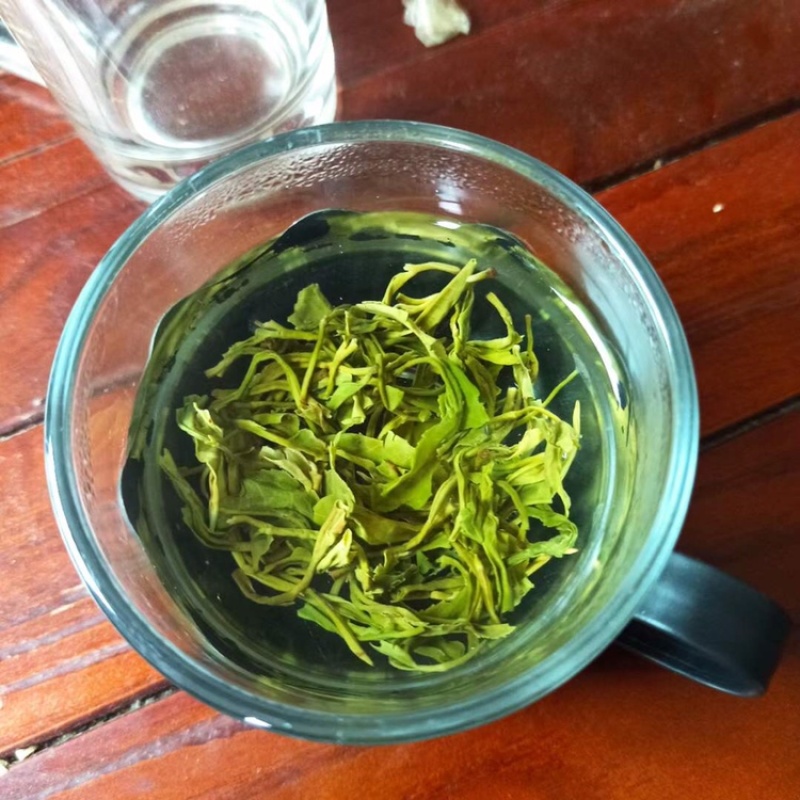 江西名绿茶狗牯脑