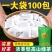 饭店旅馆快餐店招待客人茶叶包高山绿茶小包装100袋