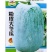 粉皮冬瓜种子特大冬瓜子好吃肉厚白皮大东瓜农家庭院蔬菜种子