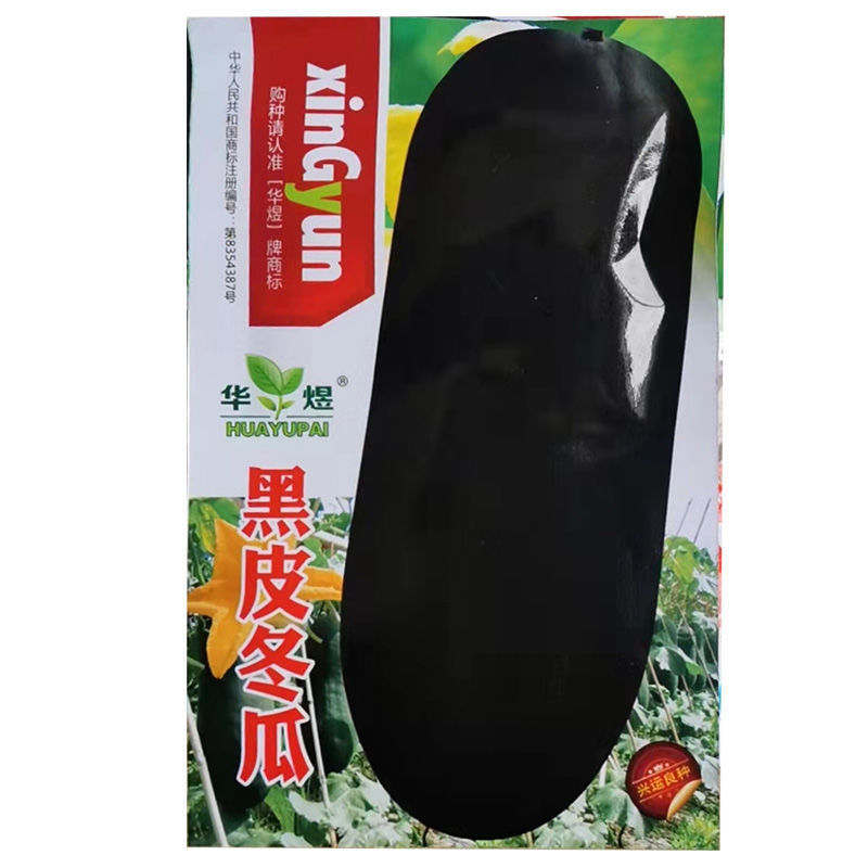 高产特大黑皮冬瓜种子批发抗病南方北方四季炮弹蔬菜种子