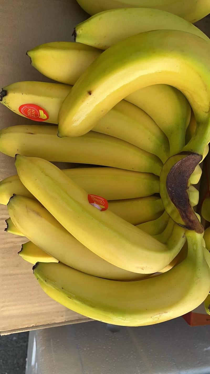 主做香蕉，一级二级蕉口感香甜软糯适合超市摆摊，包质量