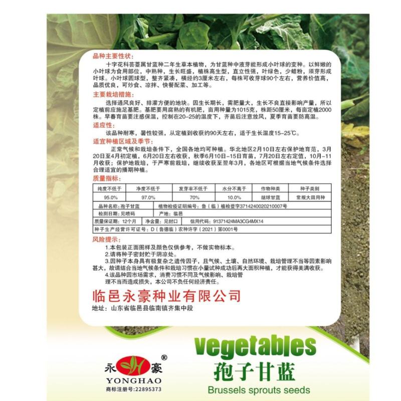 抱子甘蓝种子迷你小包菜种籽四季播盆栽蔬菜秋冬蔬菜种子