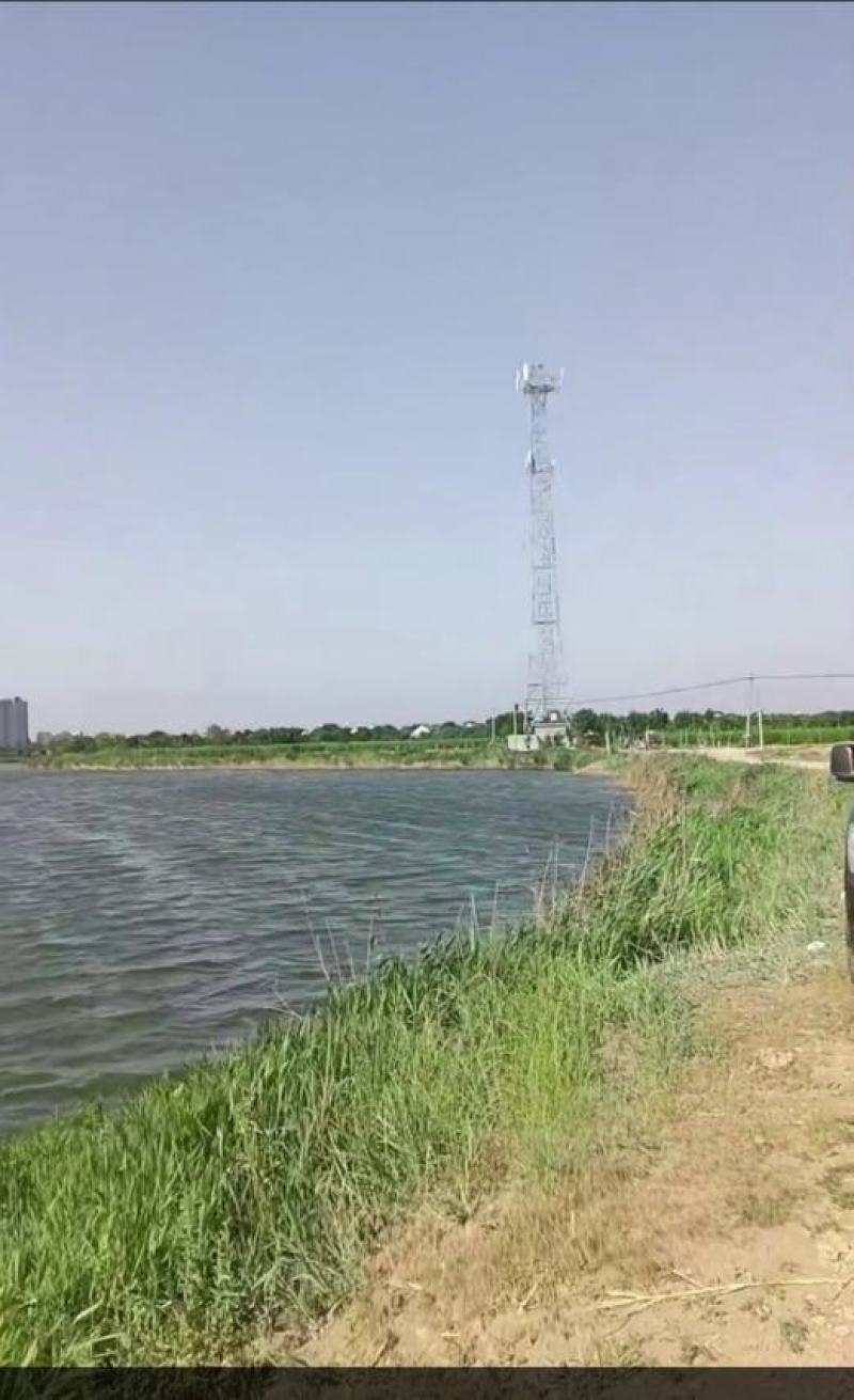 山东滨州鱼塘承包600多亩有养殖证，也可合作养殖