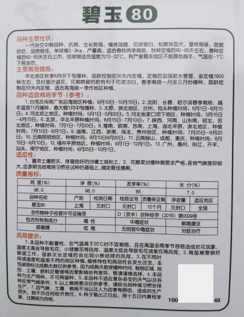 碧玉80松花菜种子80天青梗松花菜小米粒春秋有机菜花种