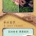 包邮特级黄芽金骏眉2024新茶正宗蜜香浓香耐泡型红茶茶叶