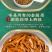 包邮特级黄芽金骏眉2024新茶正宗蜜香浓香耐泡型红茶茶叶