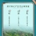 包邮特级黄芽金骏眉2024新茶正宗蜜香浓香耐泡型红茶茶叶