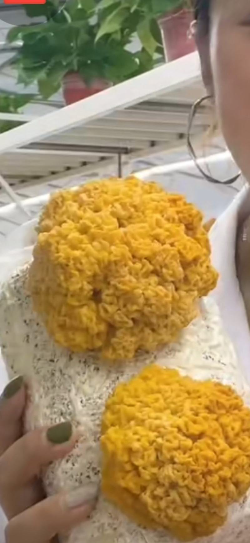 云南金耳菌