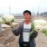 珍玉松花70菜花种子耐湿花球比品种白商品性高2公斤