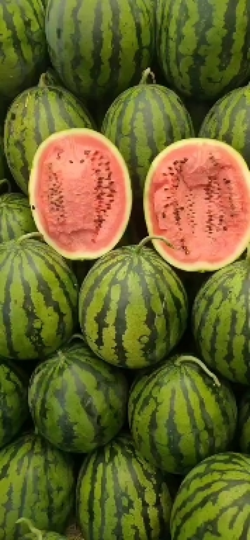 甜王西瓜