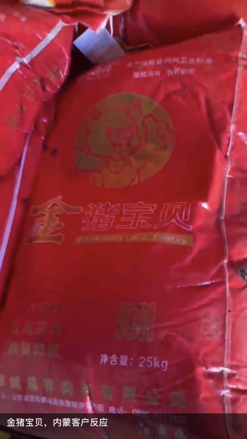 金猪宝贝、提高免疫力