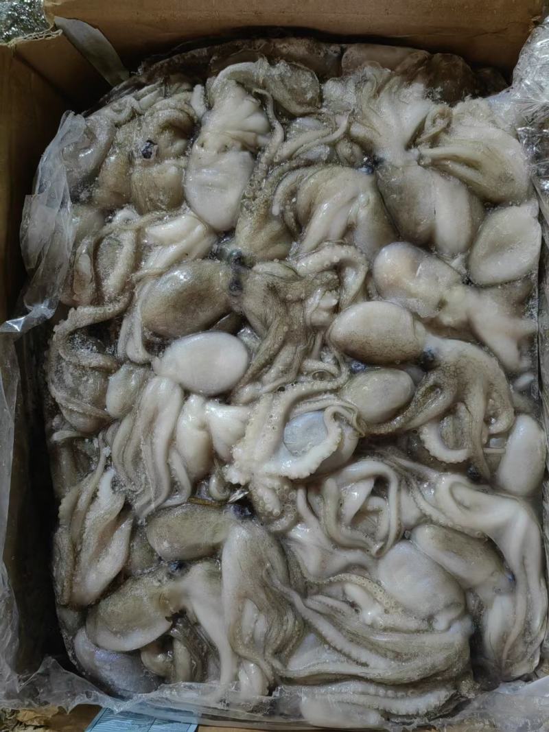 板冻八爪鱼/章鱼短腿八爪原浆干冻无泡水