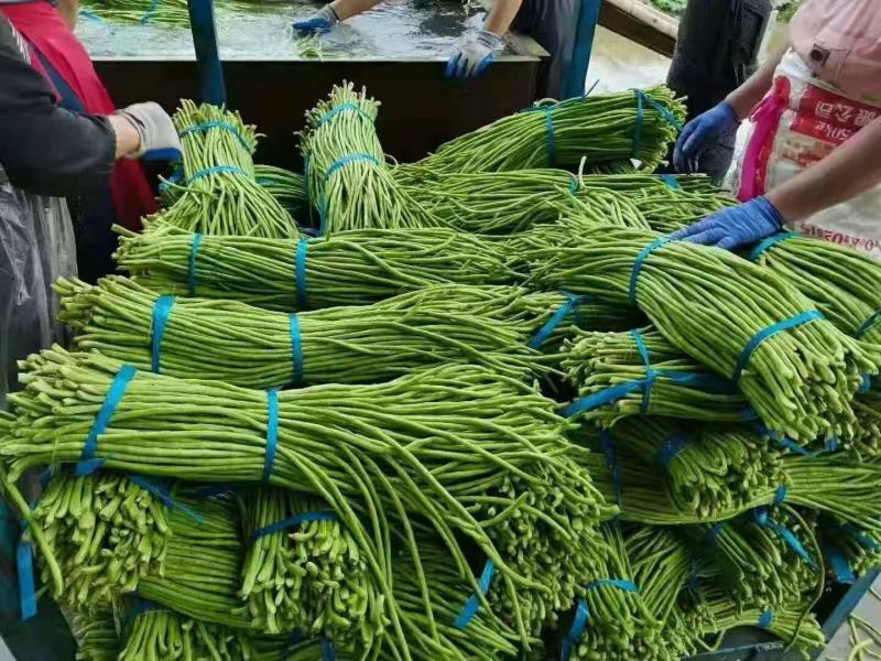 精品长豆角上市质量品质优良，条长，颜色鲜亮。