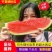 【代发全国】宁夏硒砂瓜精选山脚下万亩优质硒砂瓜专业团队