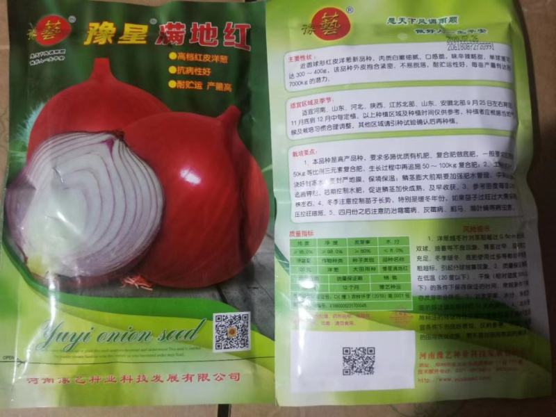 红皮洋葱种子外皮红色耐寒性强中晚熟易管理商品性强囗感好
