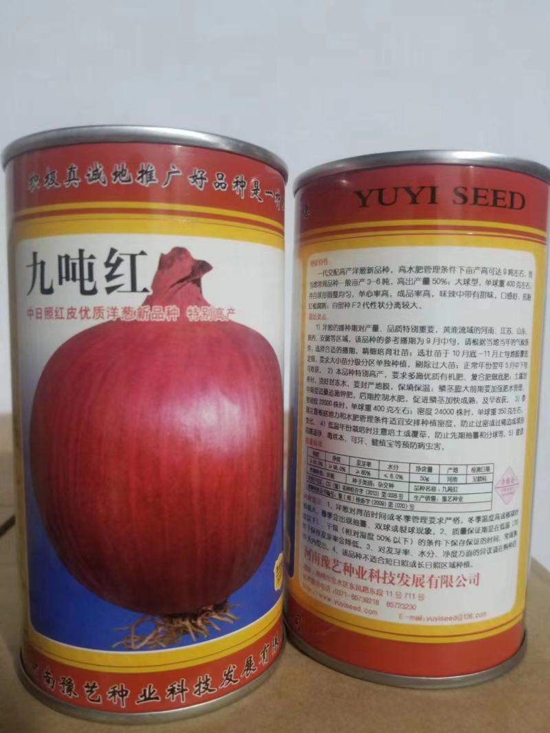 红皮洋葱种子外皮红色耐寒性强中晚熟易管理商品性强囗感好