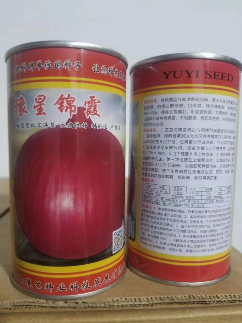 红皮洋葱种子外皮红色耐寒性强中晚熟易管理商品性强囗感好
