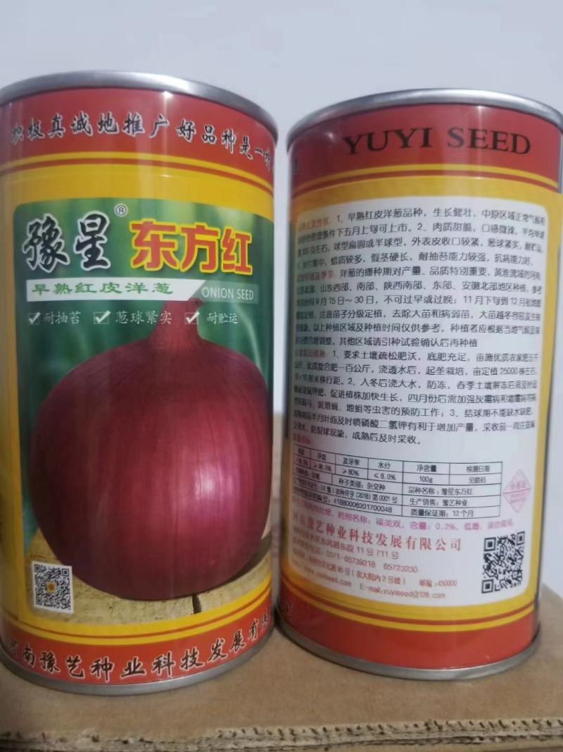 红皮洋葱种子外皮红色耐寒性强中晚熟易管理商品性强囗感好