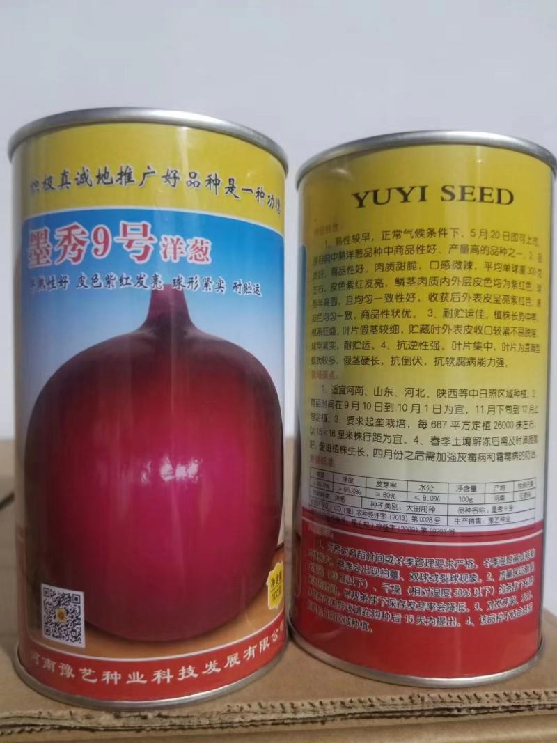 红皮洋葱种子外皮红色耐寒性强中晚熟易管理商品性强囗感好