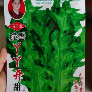 脆香甜苦麦种子，4000粒