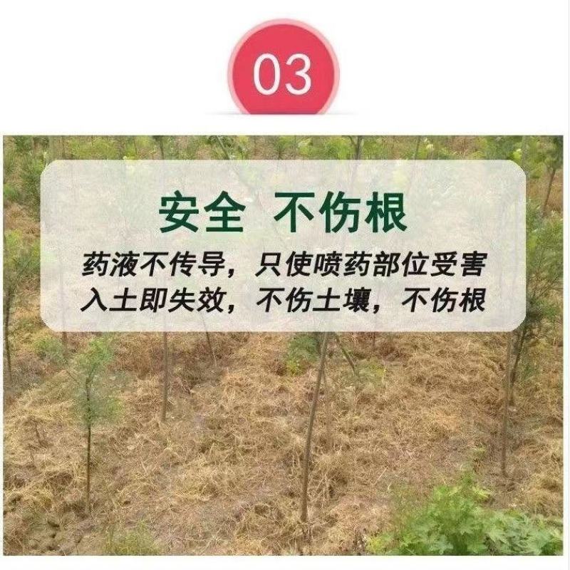 敌草快二氯盐20%除草剂强力杂草一扫光连根除草剂烂根死根