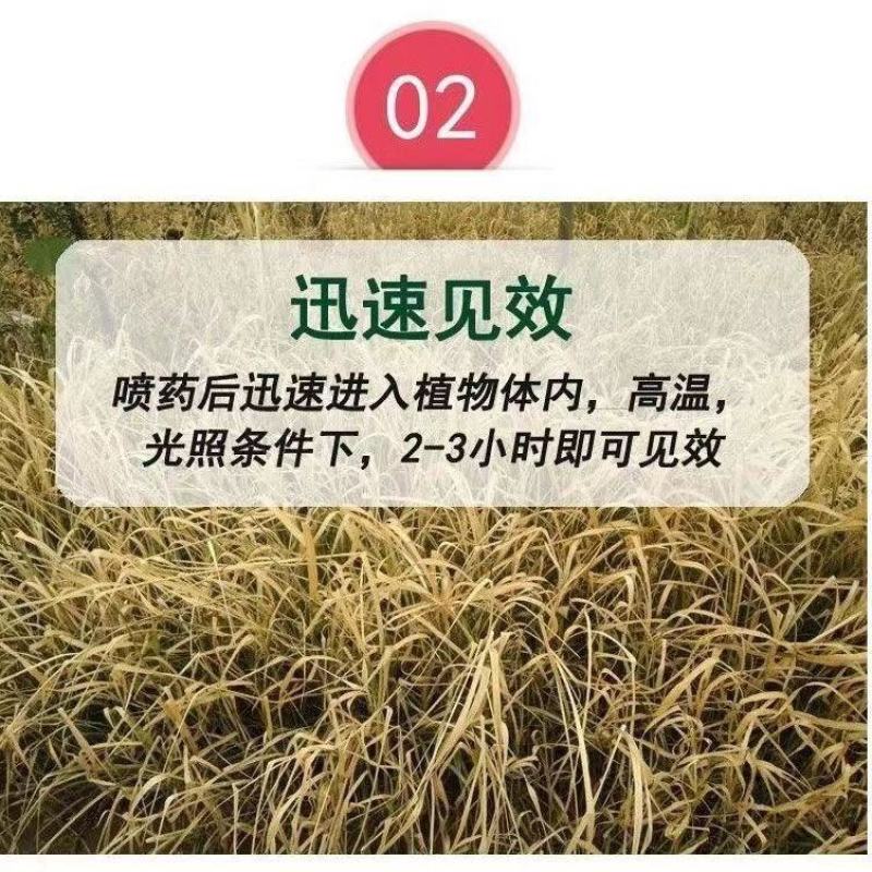 敌草快二氯盐20%除草剂强力杂草一扫光连根除草剂烂根死根