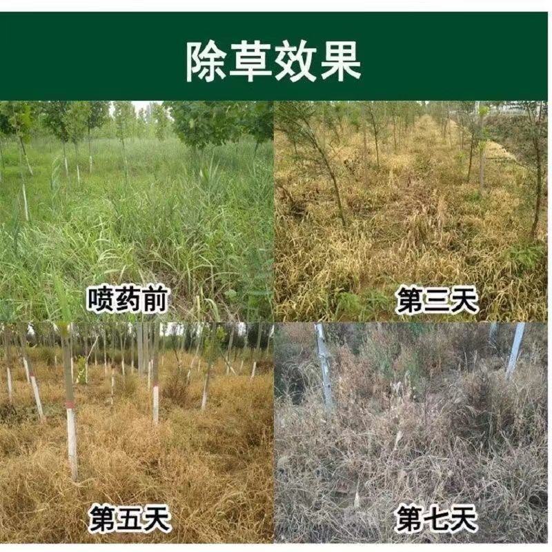 敌草快二氯盐20%除草剂强力杂草一扫光连根除草剂烂根死根