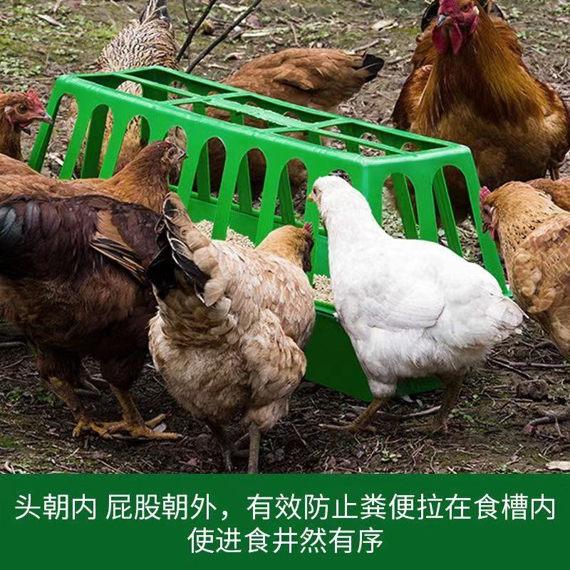 家用喂鸡食槽料槽防撒养设备鸭鹅喂鸡神器饲料桶自动喂食鸡饲