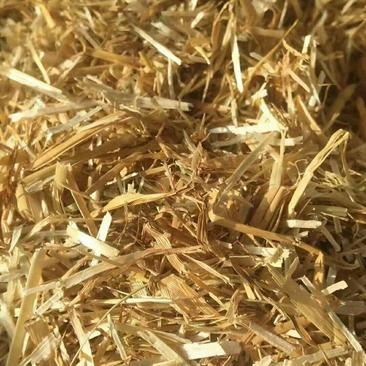 小麦秸秆饲料肥料原料，牛羊可用，质量完好保证
