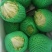圆生菜