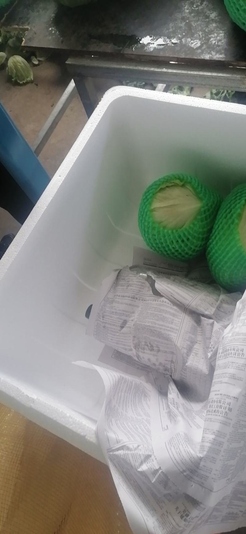 圆生菜