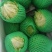 圆生菜
