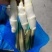 精品茭白