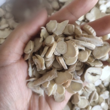 白芍生白芍炒白芍山东白芍统装实拍