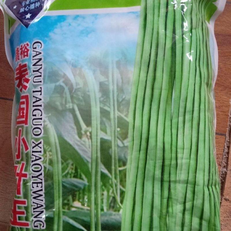 泰国小叶小五叶豇豆种子，2500克