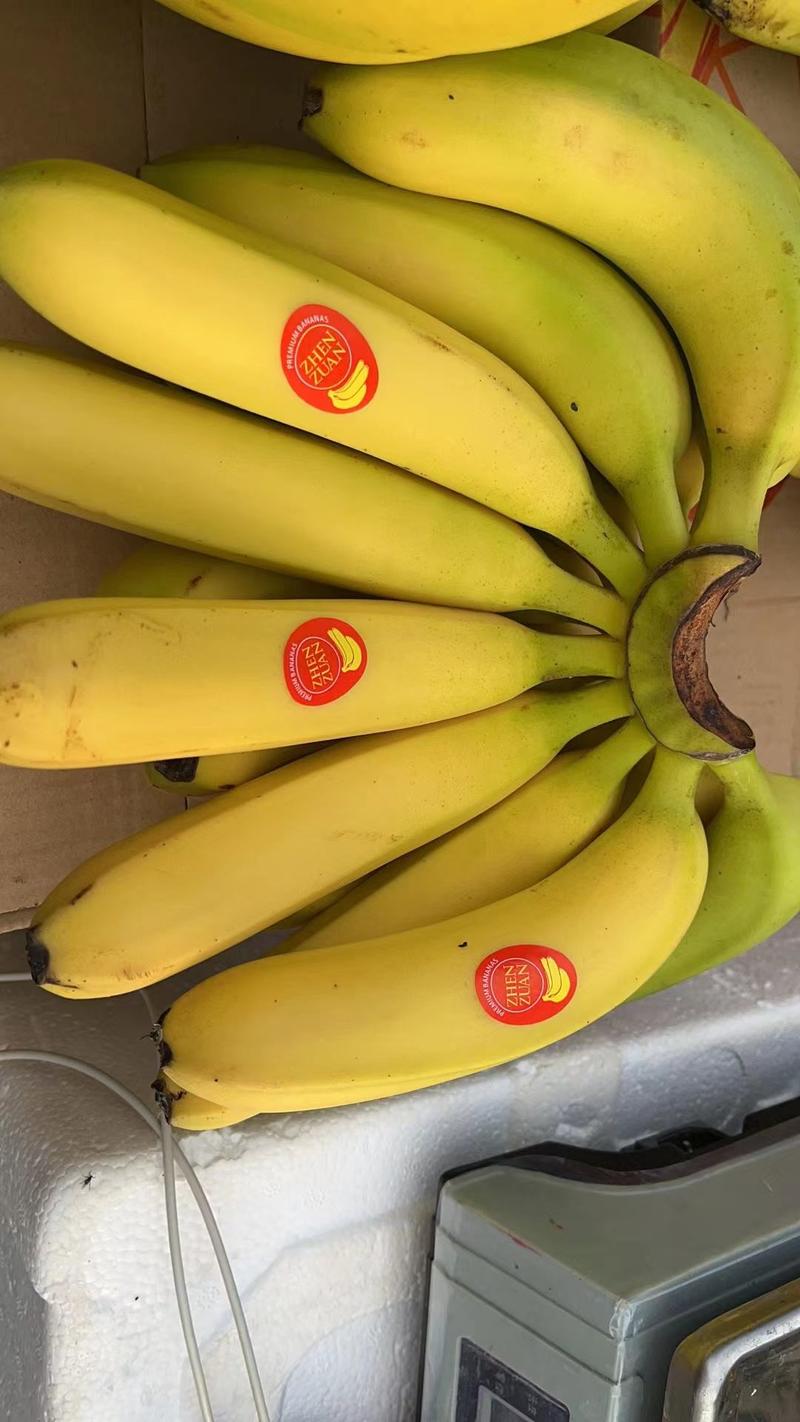 香蕉，大量现货，售后保障，安全保障，无花皮，无黑心！