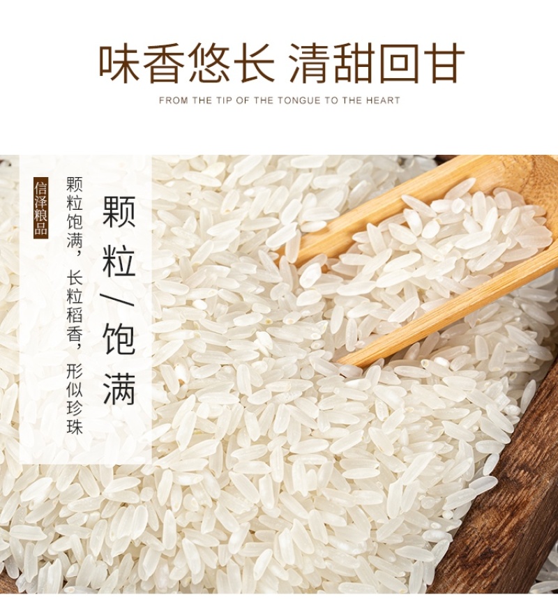 23年新粮丝苗米猫牙米长粒香米厂家直供，全国发货