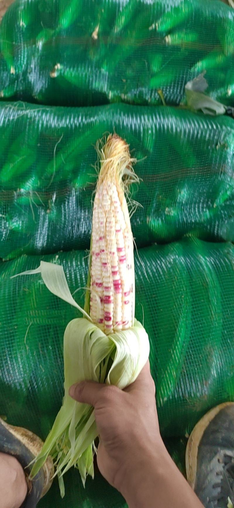 花糯米