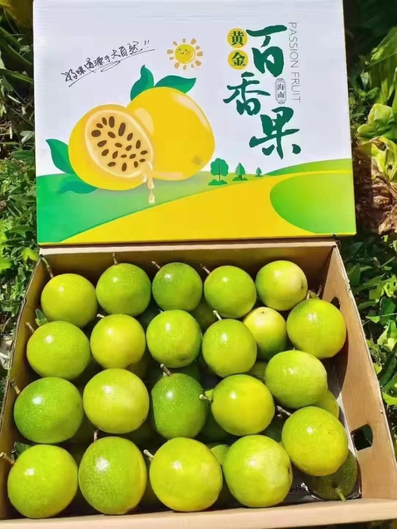 百香果，海南三亚百香果，一件代发电商微商代发