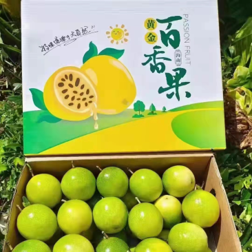 百香果，海南三亚百香果，一件代发电商微商代发